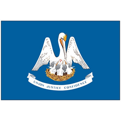 outdoor Louisiana flags