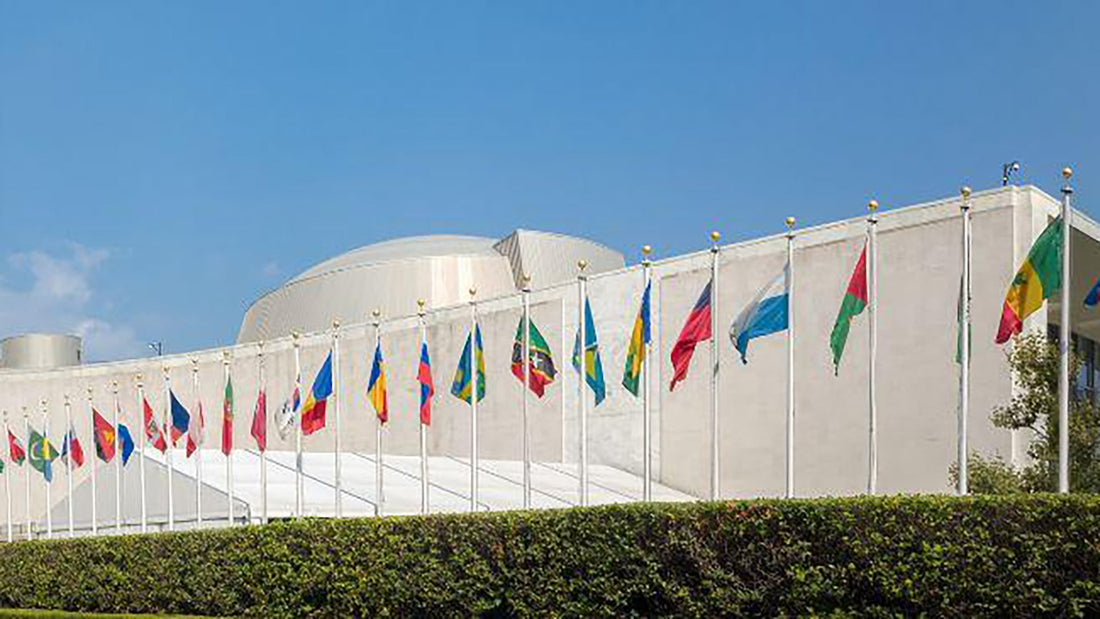 The United Nations Flag: A Symbol of Unity