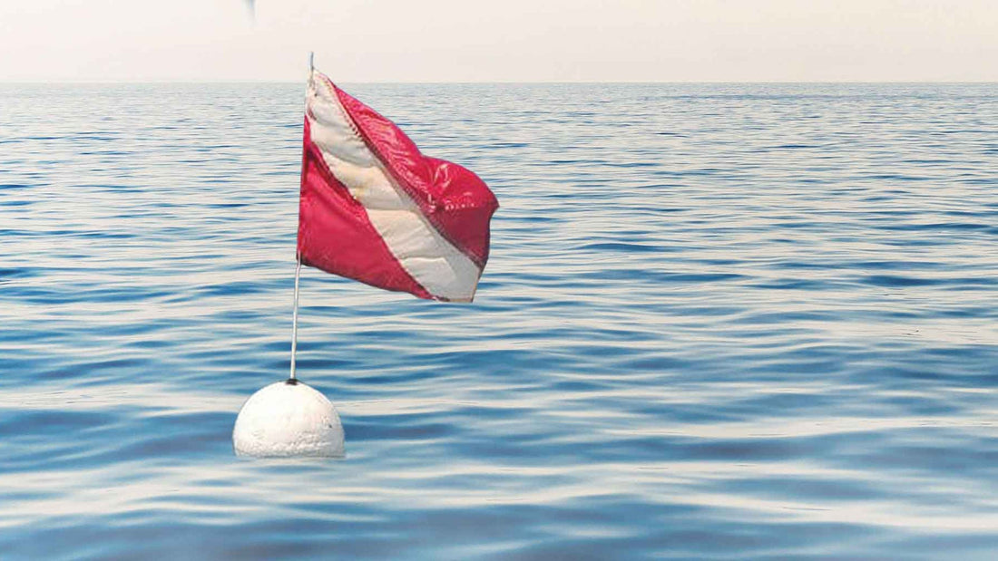 What Are the Different Diver Down Flags and Their Meaning?