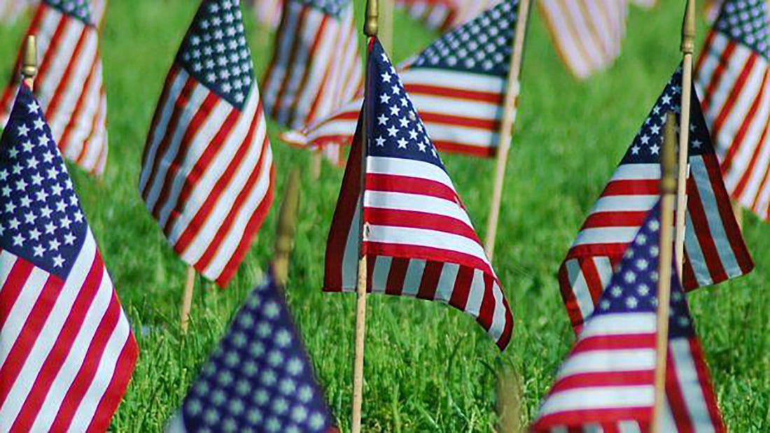 Nine Veterans Day Celebration Ideas to Honor our Heroes