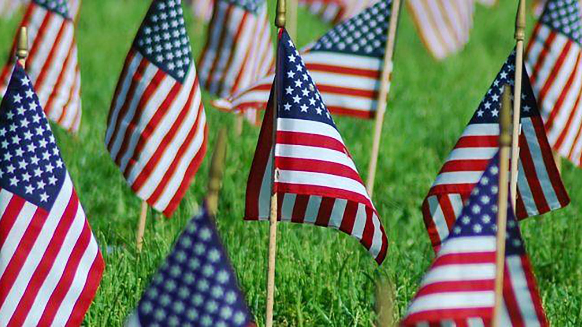 Nine Veterans Day Celebration Ideas to Honor our Heroes