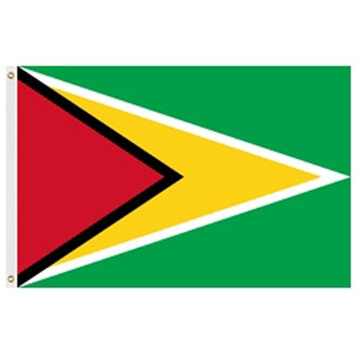 Guyana Flags