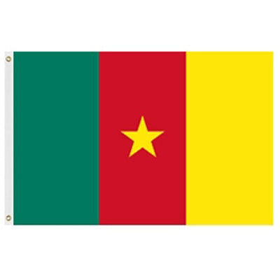 Cameroon flags