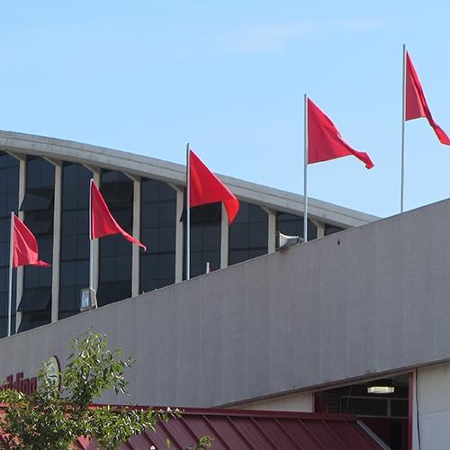 Solid Color Pennants on Poles