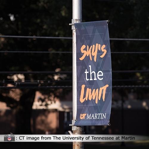 Custom Light Pole Banners