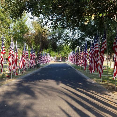 A pathway lined with multiple Nylon American Flag - Beacon® flags on both sides, displayed outdoors with trees in the background.