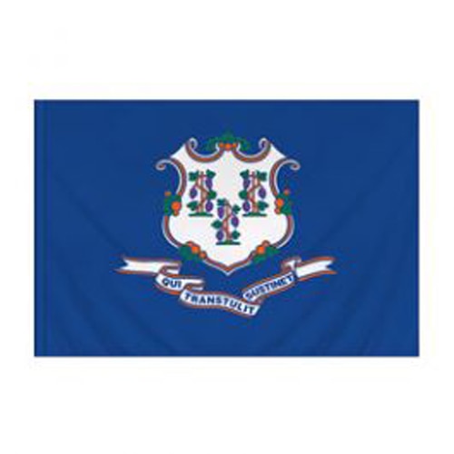 Connecticut Flag with Pole Sleeve