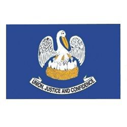 Louisiana Flag with Pole Sleeve