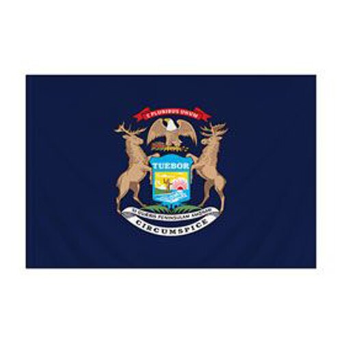 Michigan Flag with Pole Sleeve