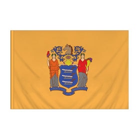 New Jersey Flag with Pole Sleeve