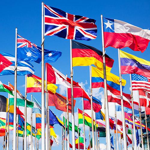 2'X3' UN Members Flag Set Nylon