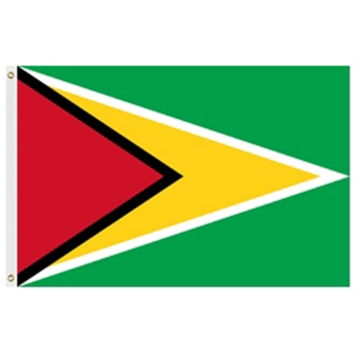Guyana national flag design