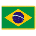 Brazilian flag with green backgroun