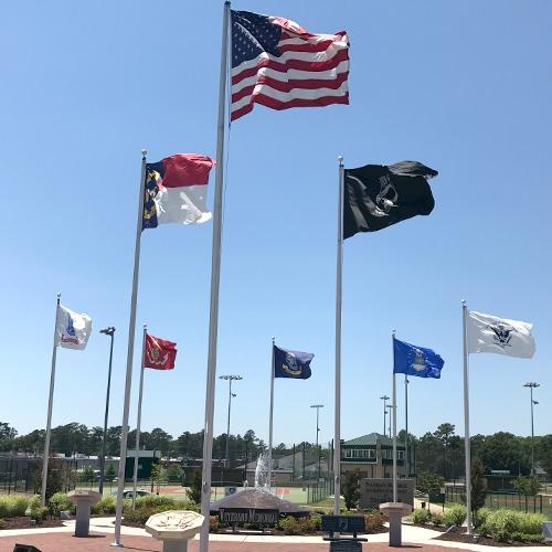 flags of various countries and serv