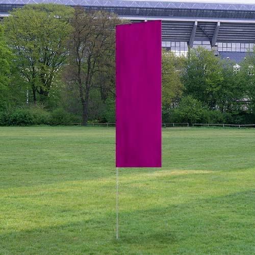 Solid Tall Advertising Flags in bright magenta displayed outdoors on a grassy field with trees and a stadium in the background.
