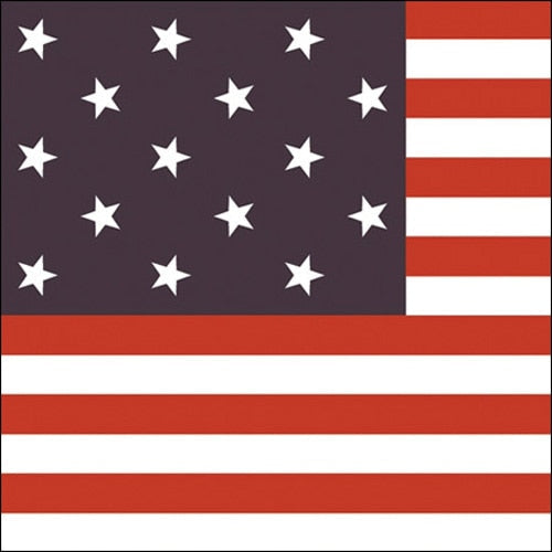 USA flag with stars and stripes