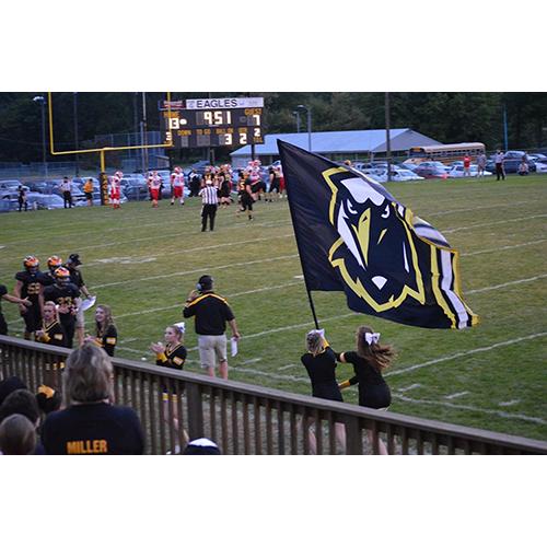 Cheering with custom flag