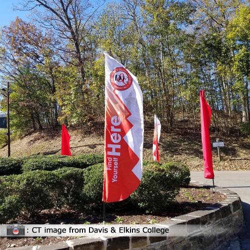 Flutter flags for businesses