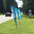 blue flags on grassy roadside
