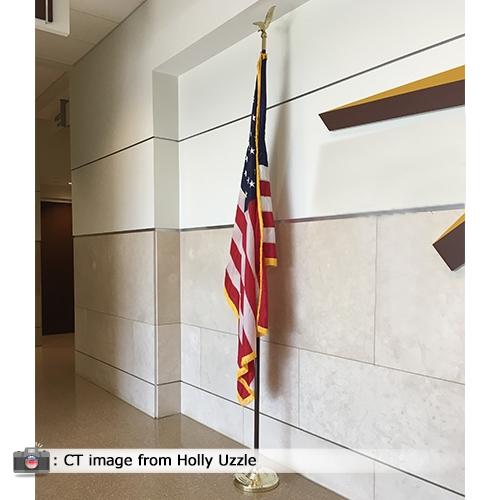 American display in Gov office