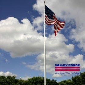 Koralex Ii™ Polyester American Flag