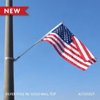 Silver Pole with Gold Ball Top