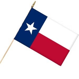 Texas state flag on a pole