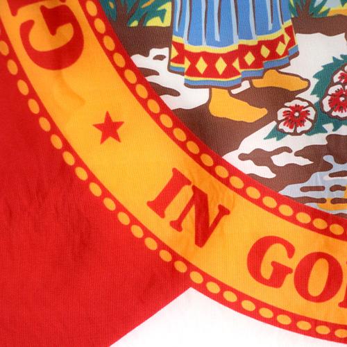 Florida Flag