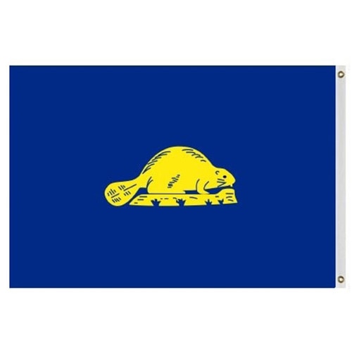 outdoor Oregon flags