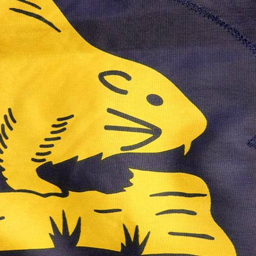 Fabric close up to OR flag