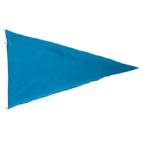 Blue Color Pennant