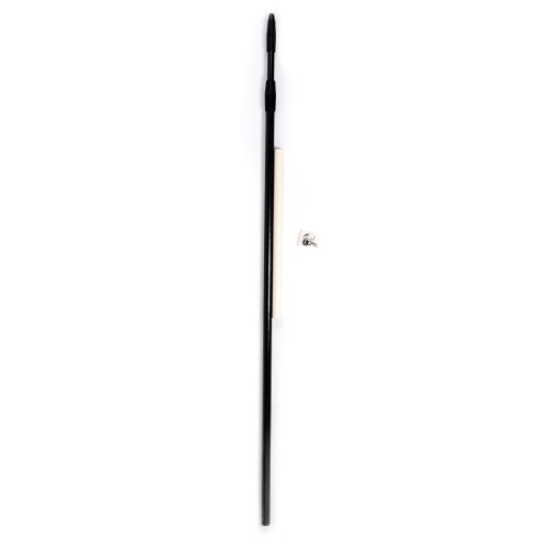 Telescoping FlagPole