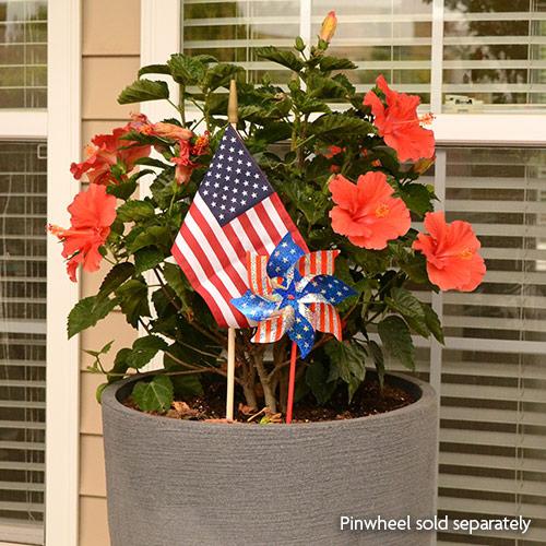 US mini flag
