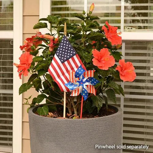 U.S. Cemetery Flags
